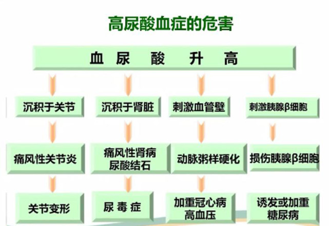 尿酸高(gāo)有(yǒu)哪些(xiē)危害?